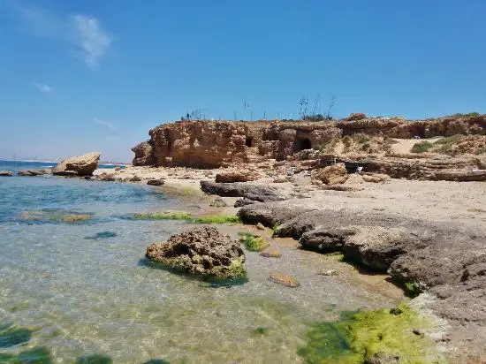 אשדוד המצודה והעתיקות