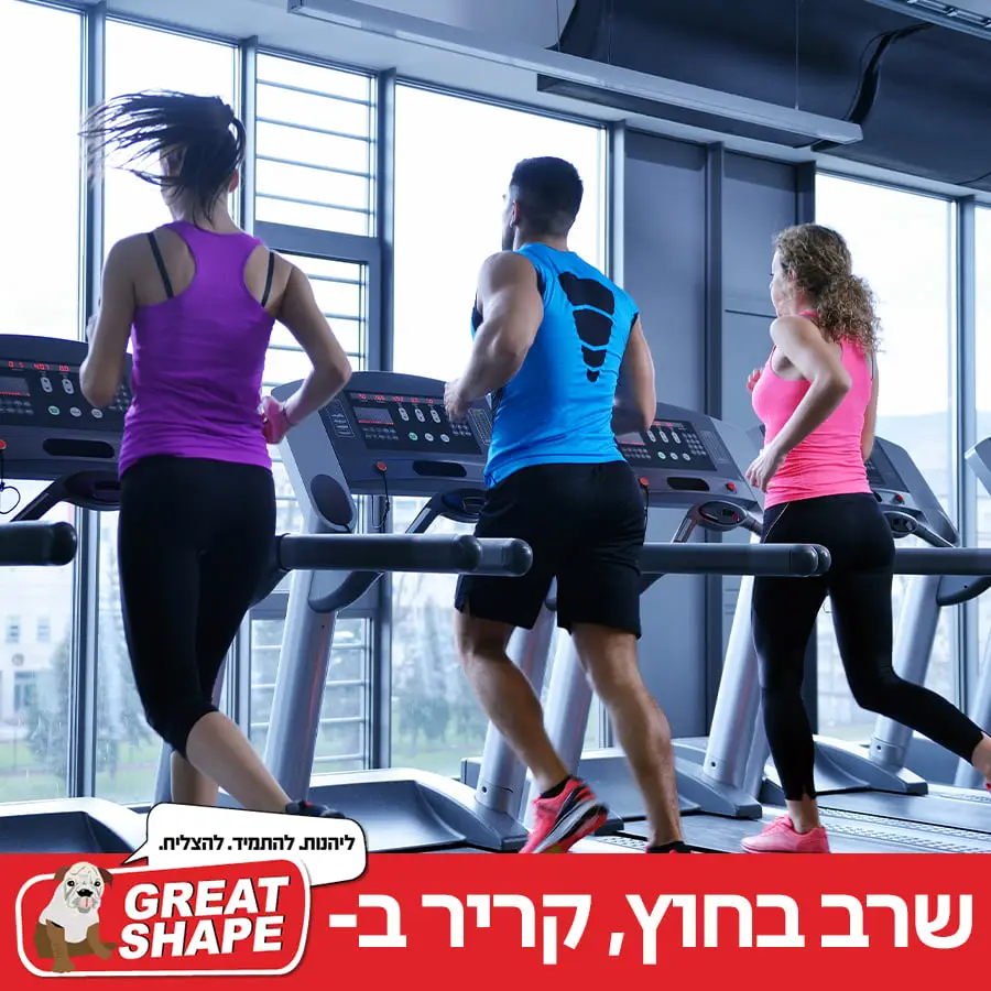 גרייט שייפ גדרה