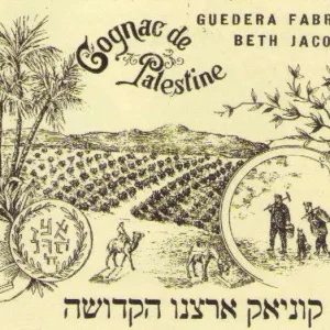 מתחם היקב