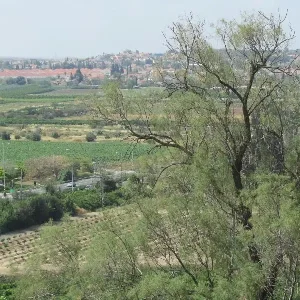 תל קטרה, גדרה