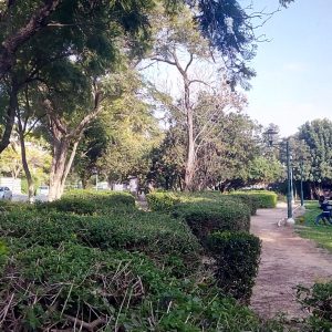 IMG_20160220_155009 גן בילו