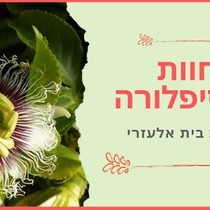 h h pasi חוות הפסיפלורה